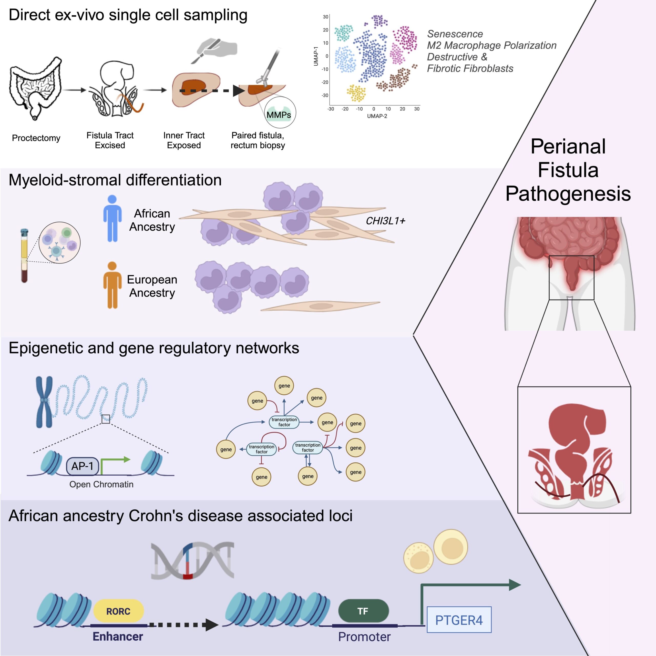 Single-cell analysis reveals mechanisms of a common complication of ...